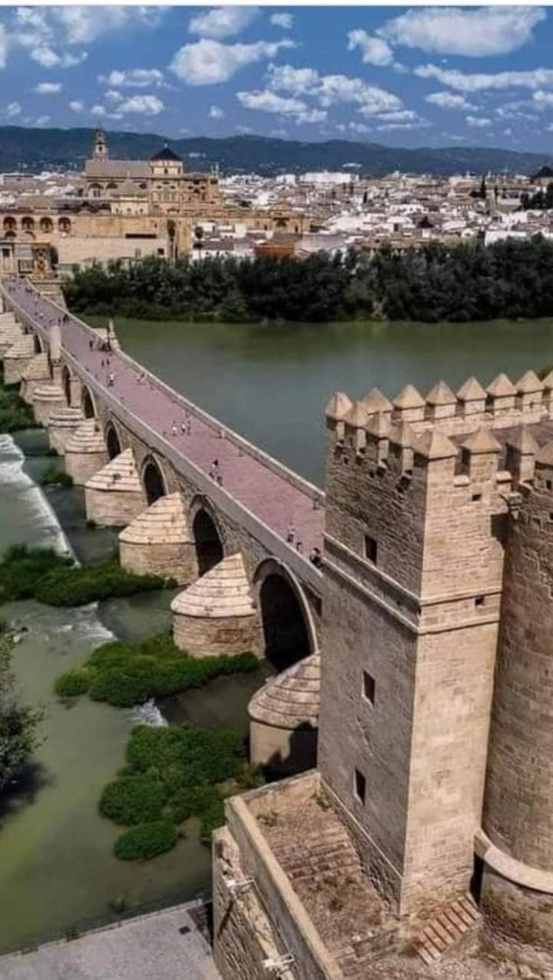 Precioso Loft El Arcangel Junto A La Ribera Kordoba Zewnętrze zdjęcie
