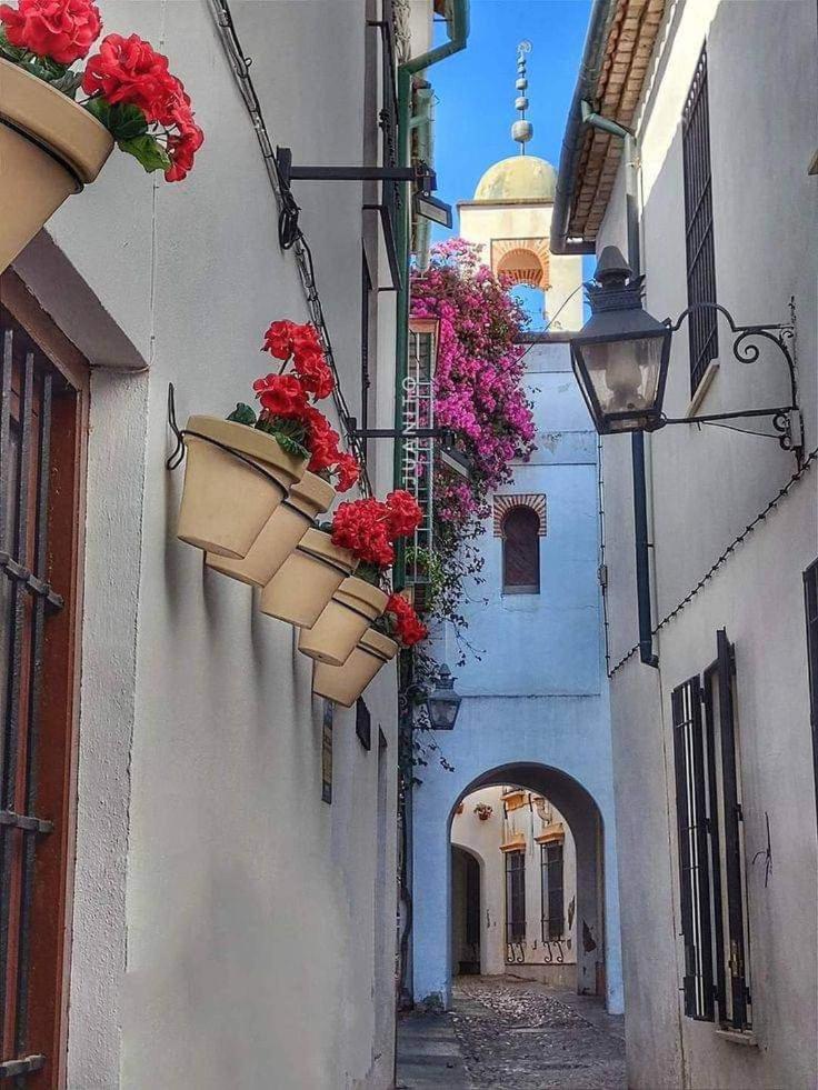 Precioso Loft El Arcangel Junto A La Ribera Kordoba Zewnętrze zdjęcie
